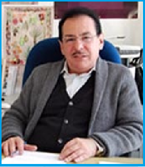 SalvadorGorbea Portal